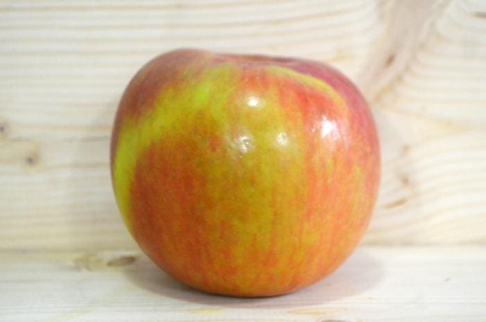 Honeycrisp(TM) Apple (Malus domestica honeycrisp(tm)) — reference photo