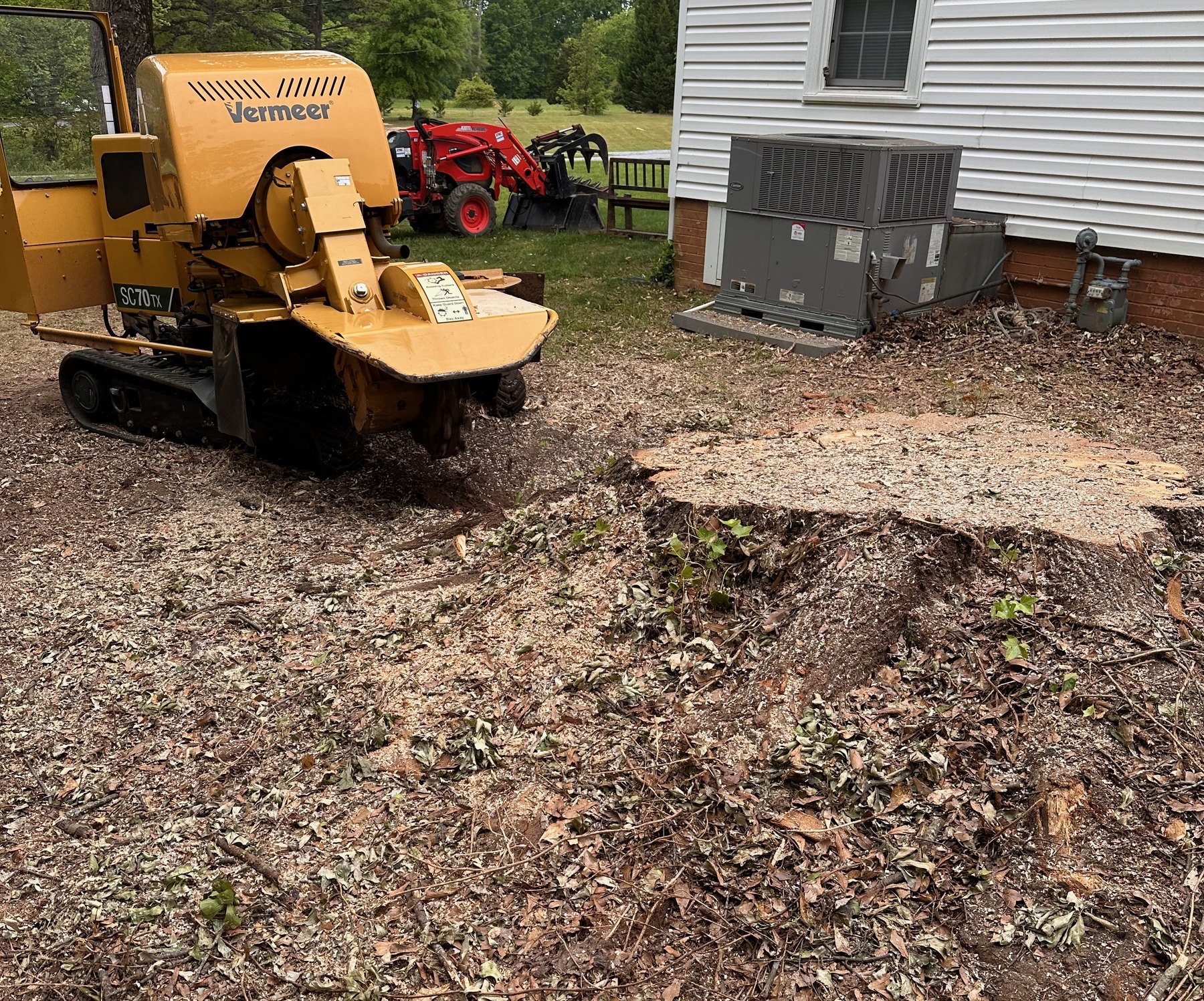 Stump and grinder before stump grinding starts